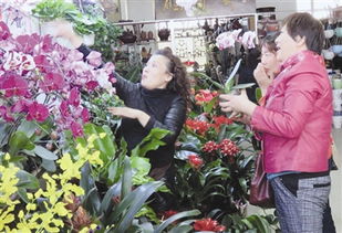 植物杂交技术孕育的花木新篇