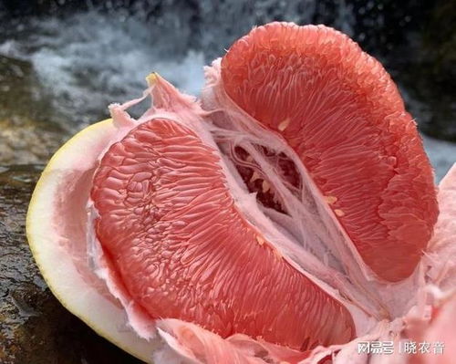 冬季葡萄柚防病虫害，保障果树健壮成长