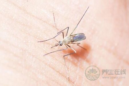 防范蝎子咬伤的方法