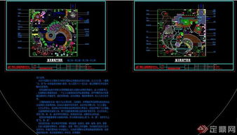植物搭配的乐趣与挑战