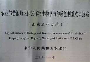 常规的作业顺序