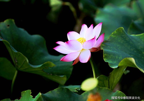 种植时间，得选对季节