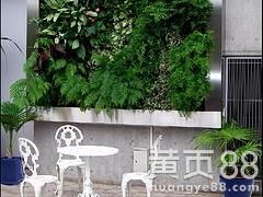 公司介绍：南京万荣立体绿化工程有限公司