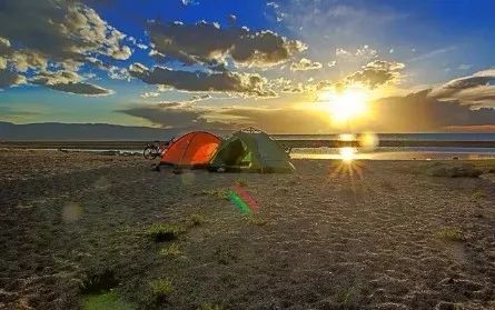 青海湖东岸的草场奇迹