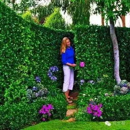 青苔， 那绿得发光的小生命