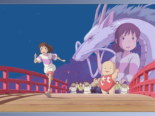 白蔷薇的花语：一段心灵的救赎之旅