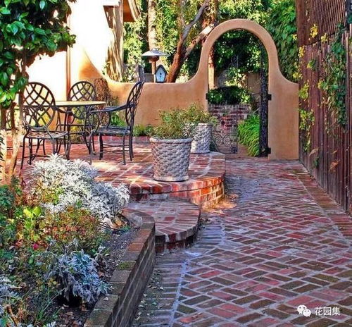 小绒球， 大魅力：绒球植物的独特魅力