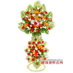 花朵的象征意义