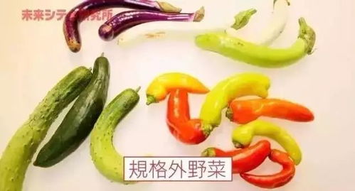 蔬果畸形揭秘：农学家不敢说的真相