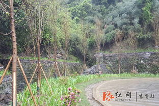 土壤适配测试的重要性