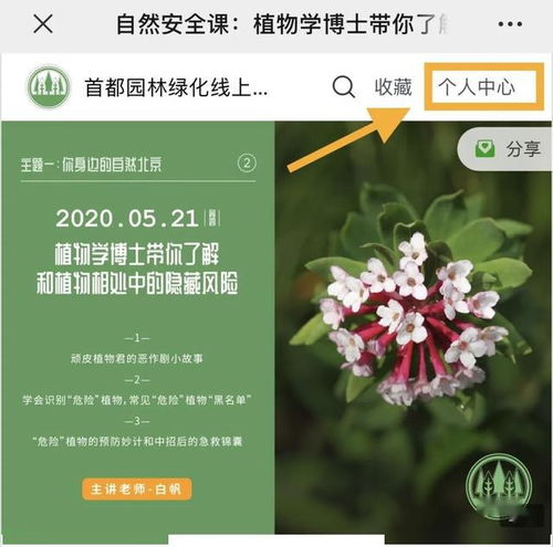 毛杜鹃：生命的热情与文化情怀