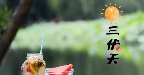 养花大鱼花海发消息