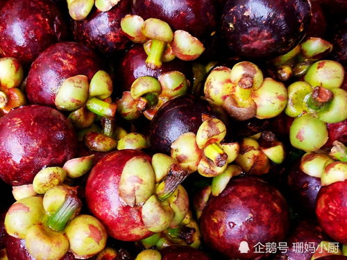 山竹种植地点怎么选？这几个地方你知道吗