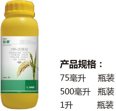 除草剂对水稻株高生长和产量的影响