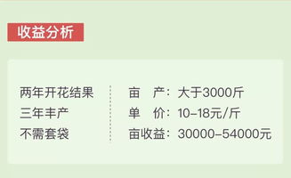 红肉苹果市场价格及口感如何？