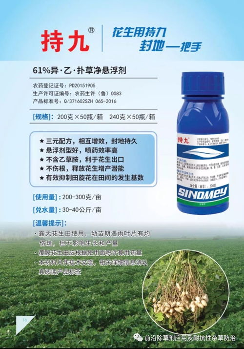 花生田下针期乙草胺使用探讨