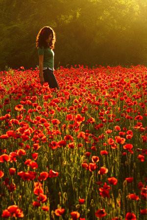 打造浪漫月季花墙，三步轻松搞定！