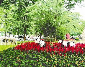 园林绿化栽树时的细节注意事项