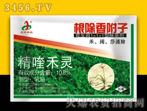 花生田里的香附子，除草难题怎么破？