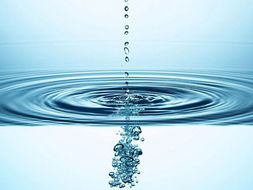 睡莲施肥的黄金时机