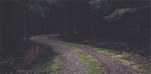 阴凉处的光照问题