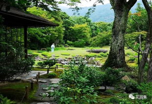 日本观赏树种的培育与鉴赏