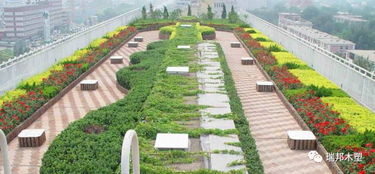 时间和时机，就像过山车一样刺激