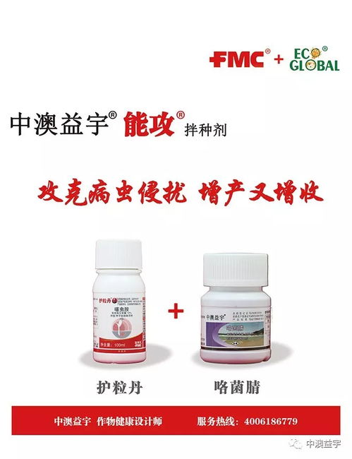 乙烯利对小麦的影响：一探究竟