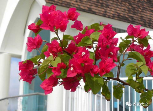 动手时放点轻音乐