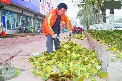 落叶问题，我们来解决！