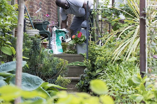 园林与园艺：创造美丽与和谐