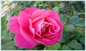 改变自我，绽放新生活