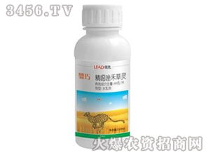 炔草酯和精恶唑禾草灵，怎么用？