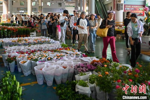 昆明花市场地址是？如何前往