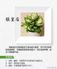 误区2：盲目追光