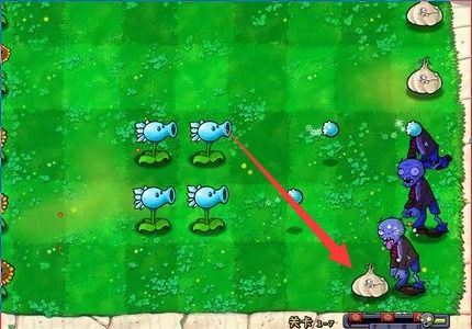 那个大蒜植物，真的有名字吗？