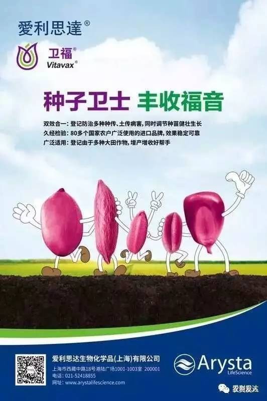 叶面喷施， 先了解原理