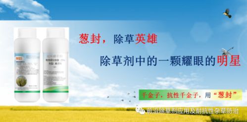 惠农网， 你的农业好帮手