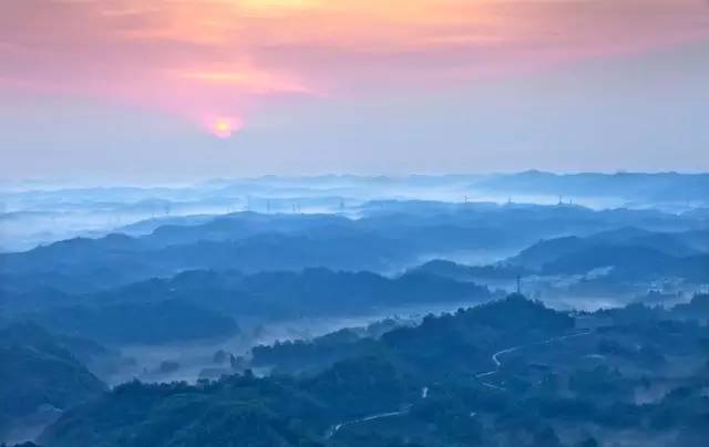 茶树种植对土壤、气候、海拔等条件有什么具体要求