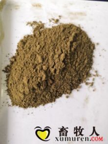 国产鱼粉和进口鱼粉新鲜度标准有何差异？