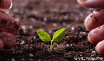 坑2：施肥跟喂猪似的