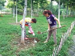 夏季：高温酷暑，细心呵护