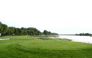 发球台草种大揭秘