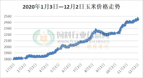 2026年12月玉米会因饲料工业展而涨价吗？