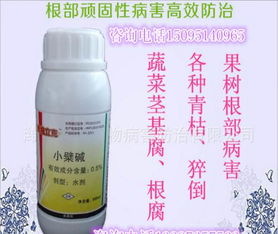 腐霉素克与绿靶藻：组合出击， 防治根腐烂脖子