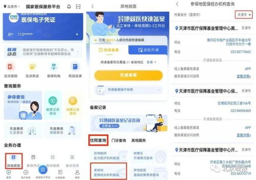 如何在线并获取详细的下载指南？