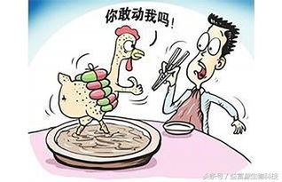 发酵饲料的作用机理是如何影响动物消化吸收的？