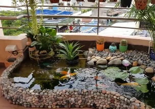 水中植物的点缀