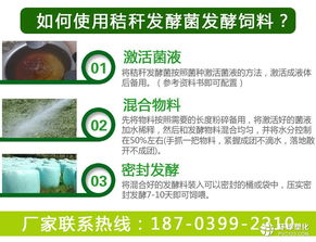 发酵饲料发酵时间过长导致成本增加，如何优化7天省3000元？