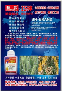 小麦拌种剂：守护麦田的秘密武器